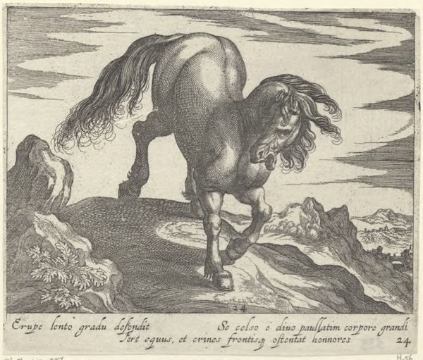 Panderen, Egbert van, (1581-1637?), (printmaker), Horse breeds: Landscape with a horse on a hill