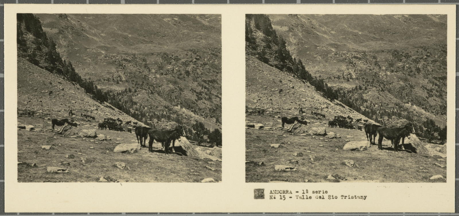 Desconegut, Andorra