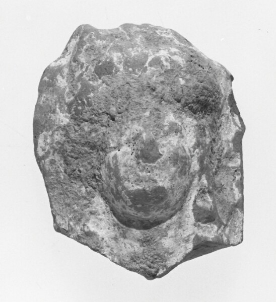 Unknown, Female Head