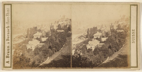 Adolphe Braun, Panorama de Thoune.