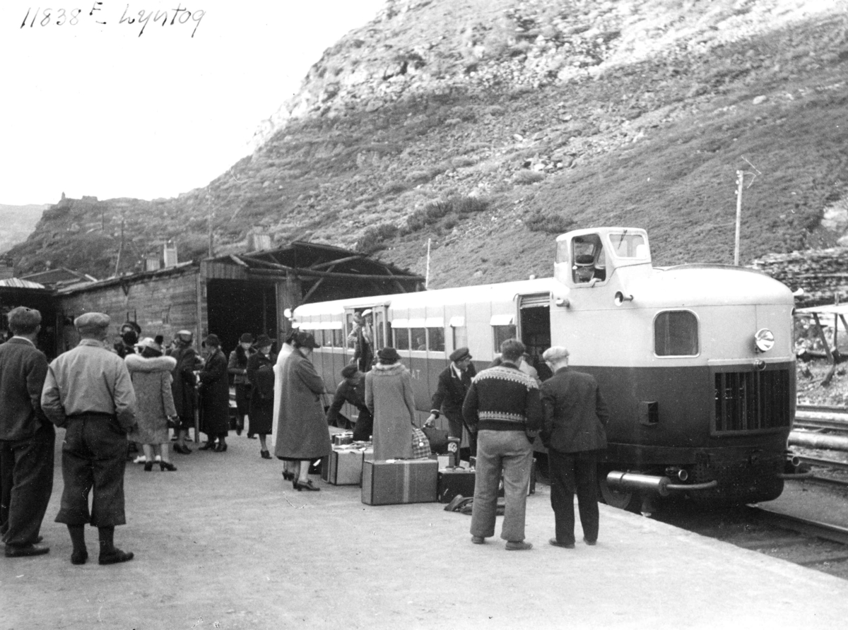 Anders Beer Wilse, Tog, Myrdal stasjon.
