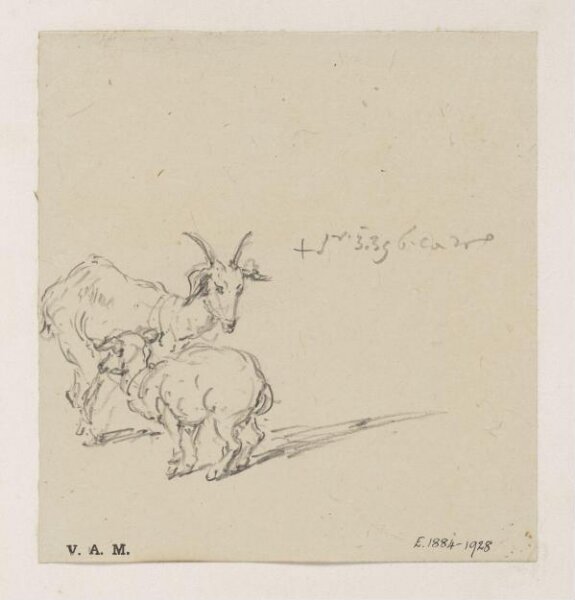 George Chinnery, A goat and kid
