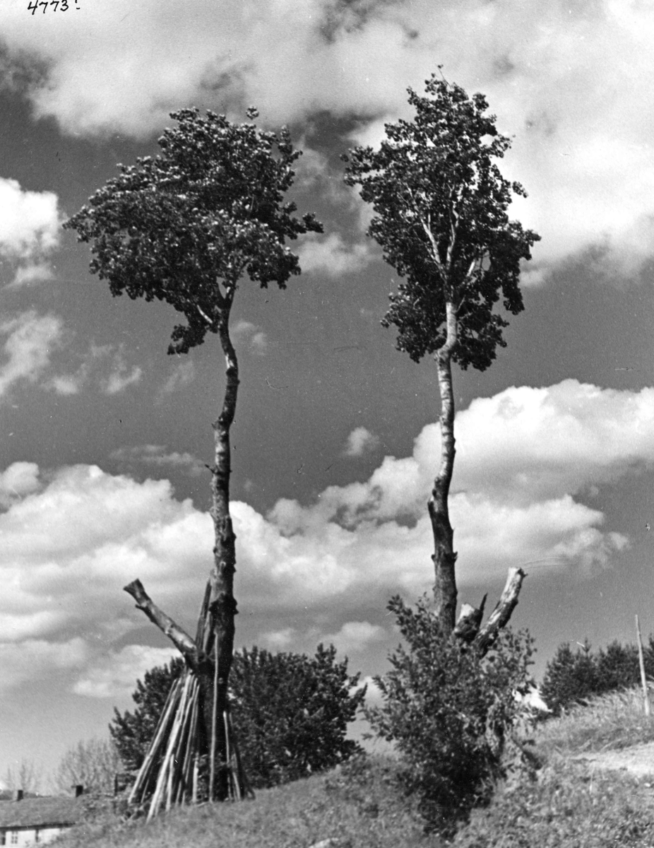 Anders Beer Wilse, Topografi