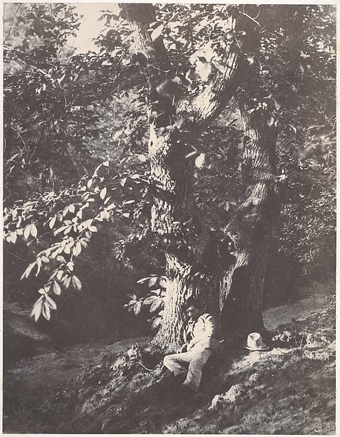 Charles Marville, Homme allongé au pied d'un chàtaignier
