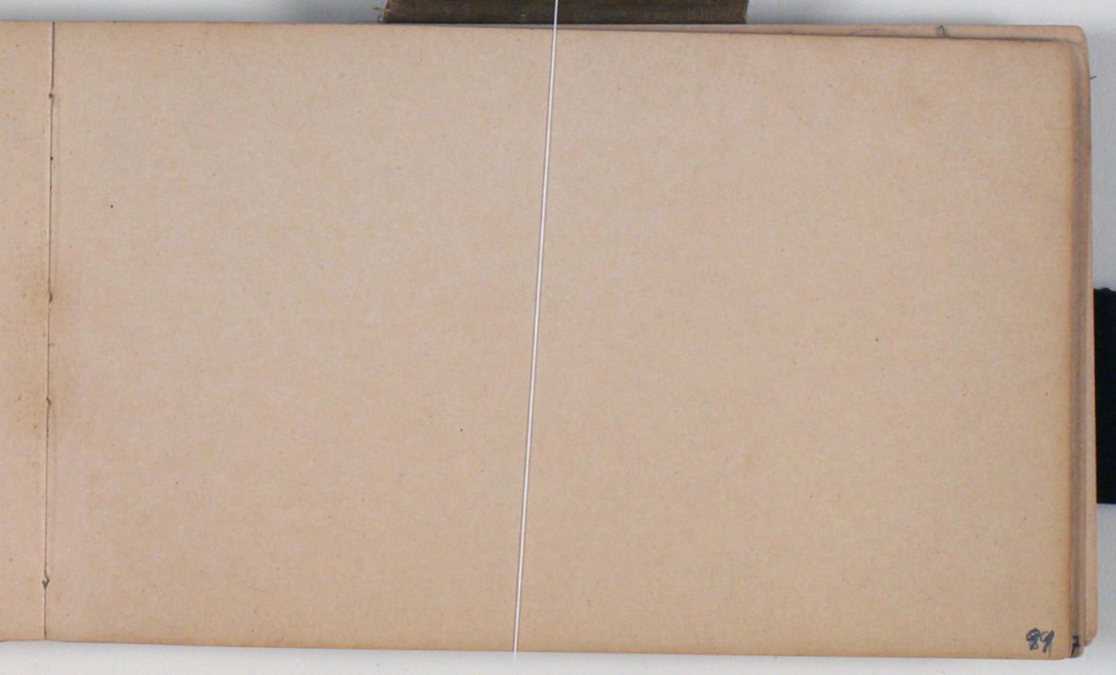 Niels Larsen Stevns, Blank
