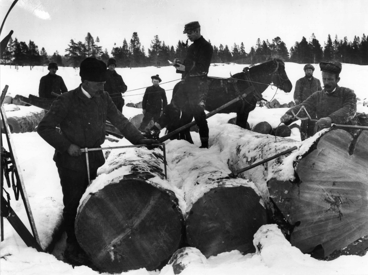 Anders Beer Wilse, Tømmermåling, Engerdal