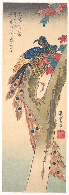Utagawa Hiroshige, A Peacock Perched on a Maple Tree