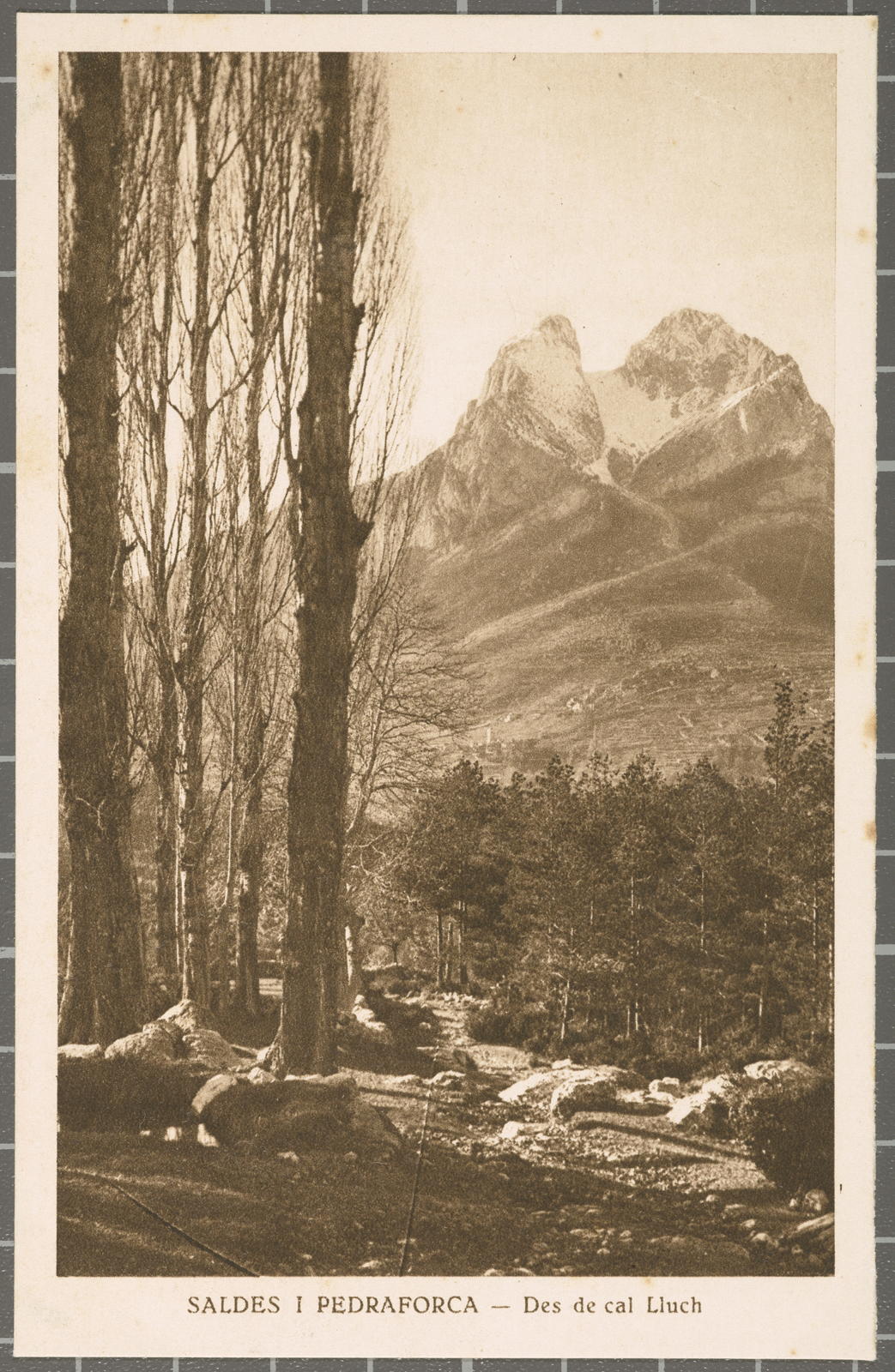 Desconegut, SALDES AND PEDRAFORCA - From must Lluch