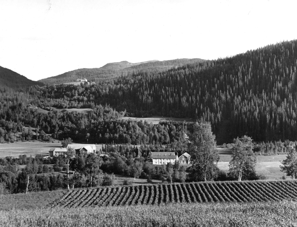 Anders Beer Wilse, Topografi