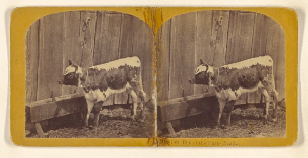 Benjamin West Kilburn, Pet of the Farm Yard.