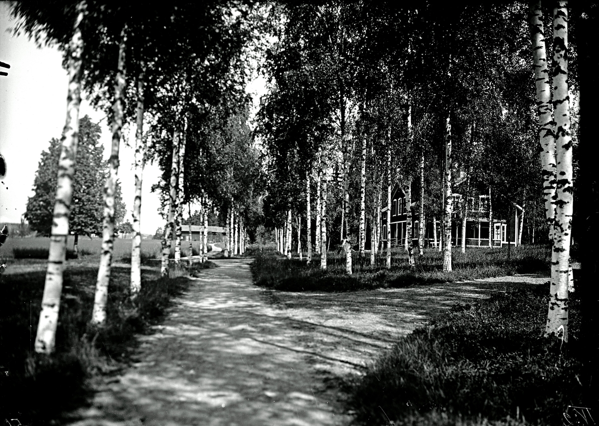 Ellert Johan Viktor Sörman, Johannisdal i juli år 1924. Fotograf E Sörman.