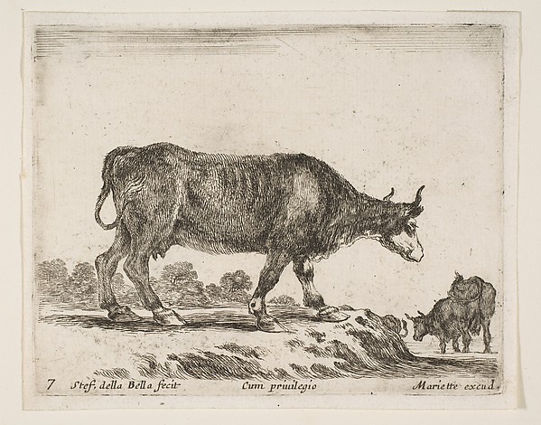 Stefano della Bella, Ox, plate 7 from "Various Animals" (Diversi Animali)