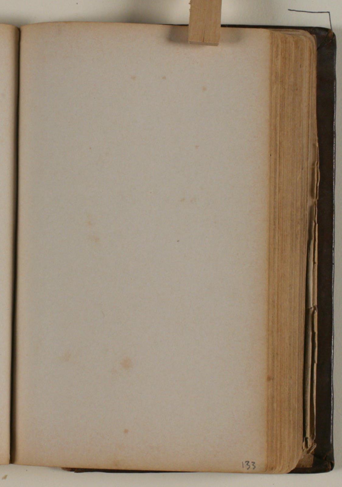 Niels Larsen Stevns, Blank