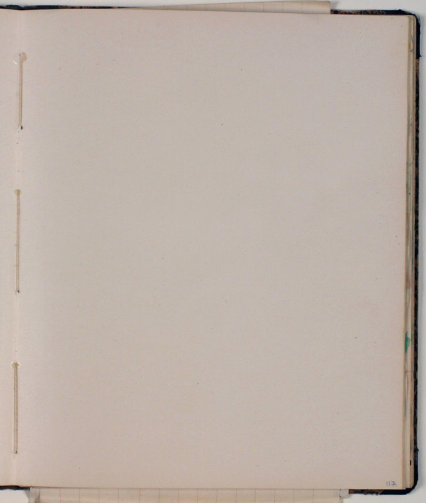 Niels Larsen Stevns, Blank