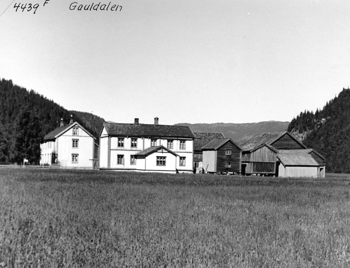 Anders Beer Wilse, Topografi