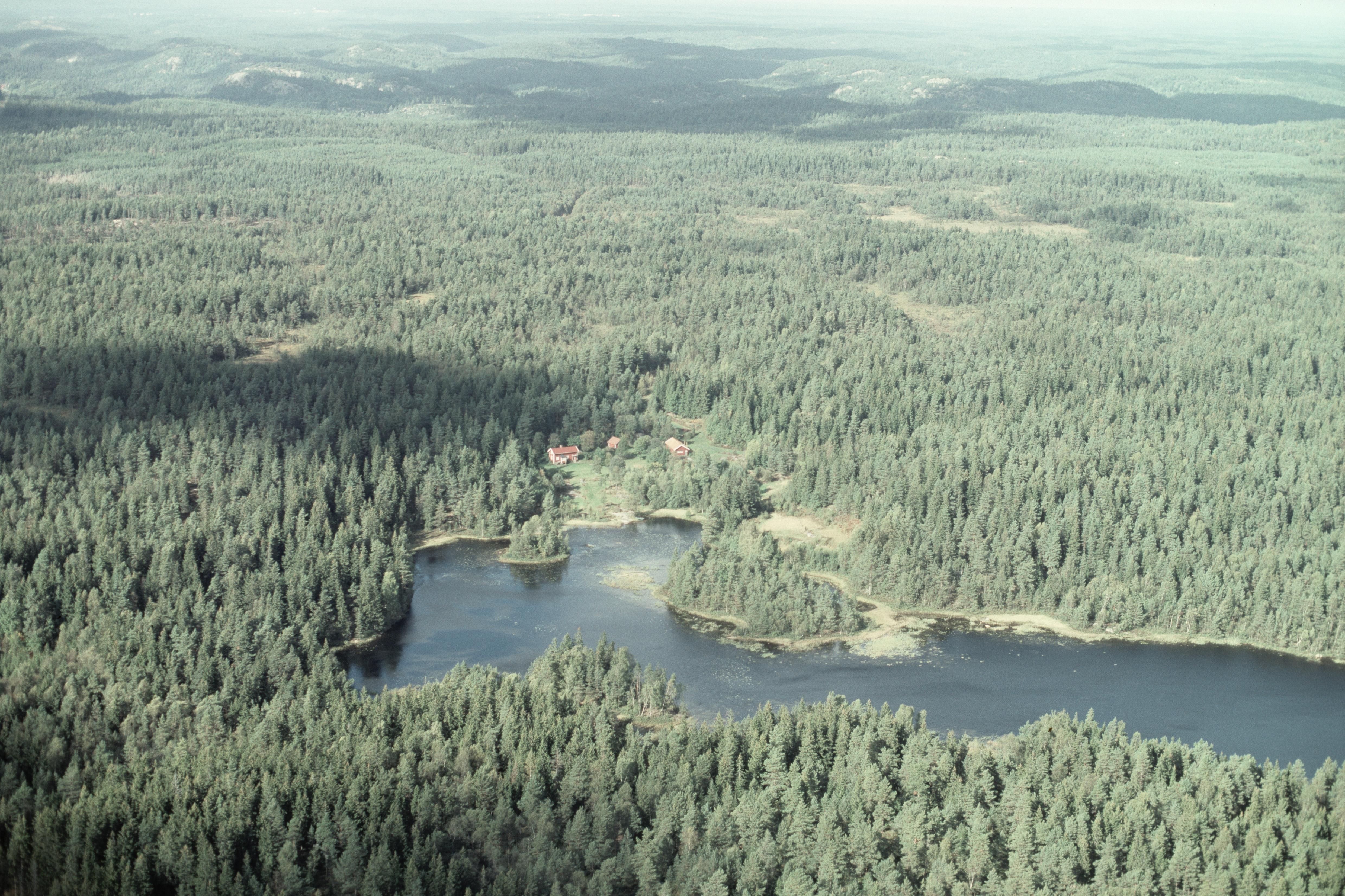 Jan Norrman, Bredfjället
