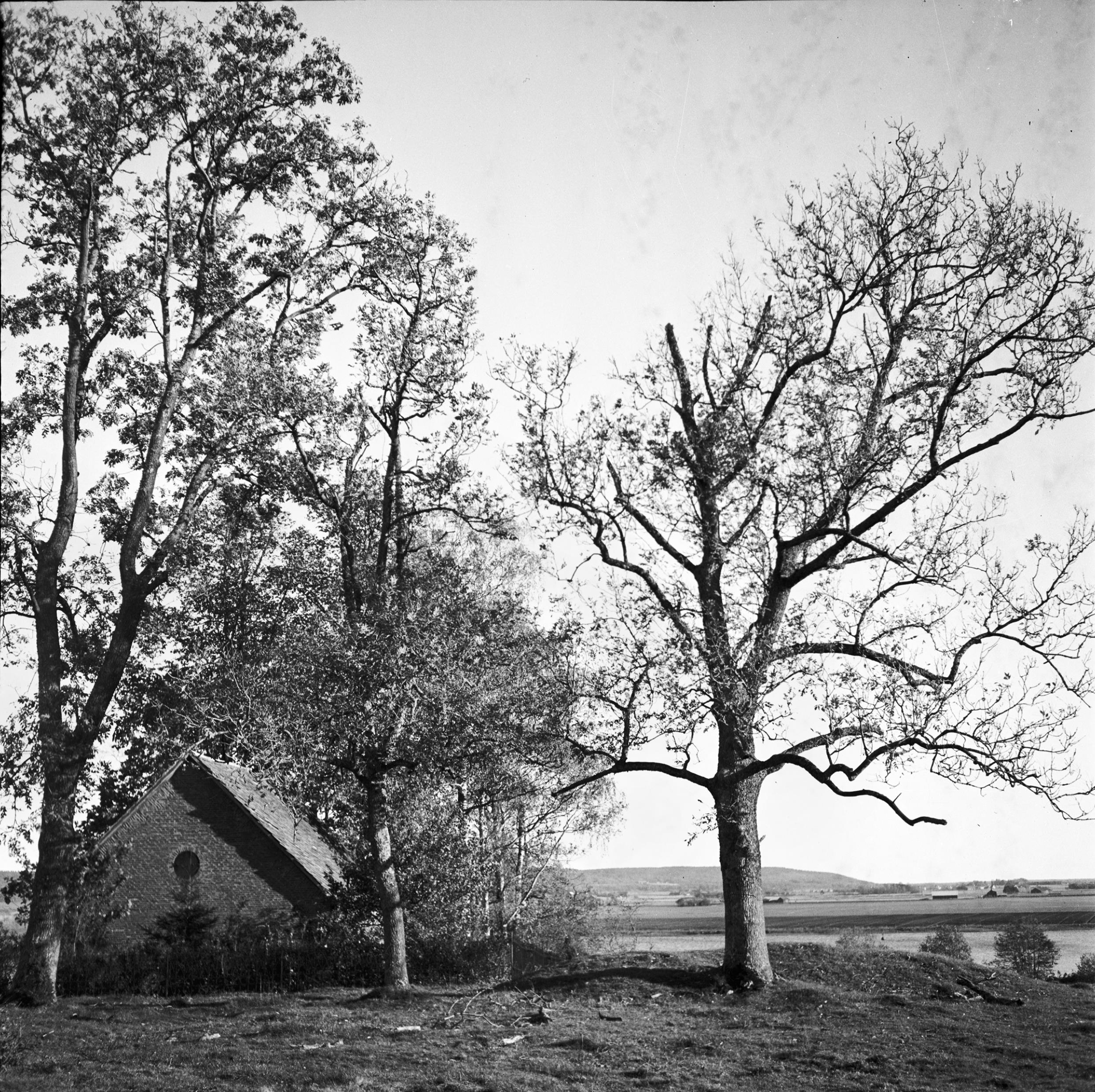 E. Lundberg, Vänersborg, Naglums kyrkoruin