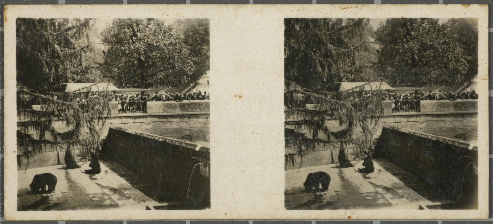 Desconegut, Suiza-Berna-La fosa de los osos Solsona Rius S.A.