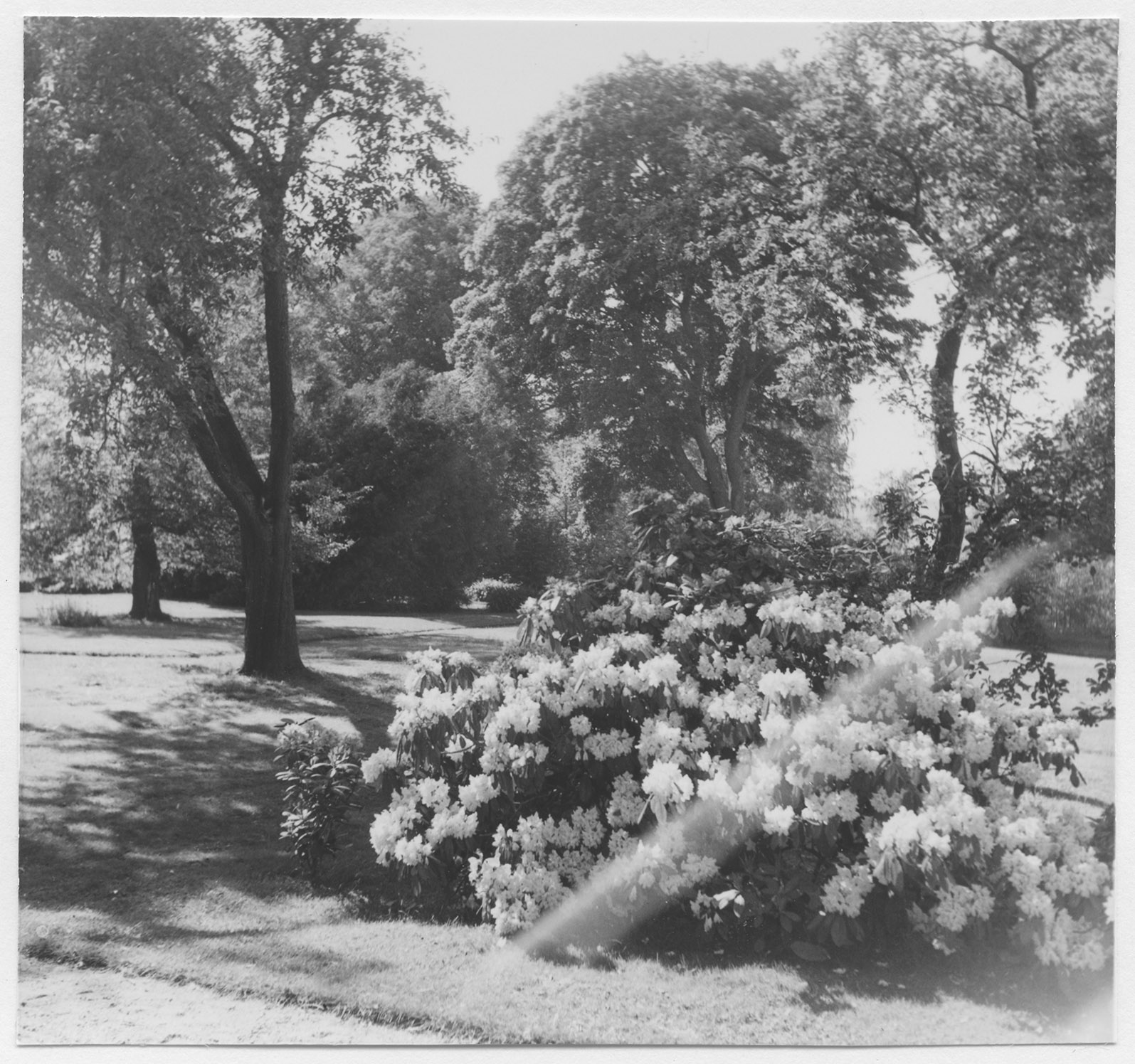Mårten Sjöbeck, Täckhammars herrgård