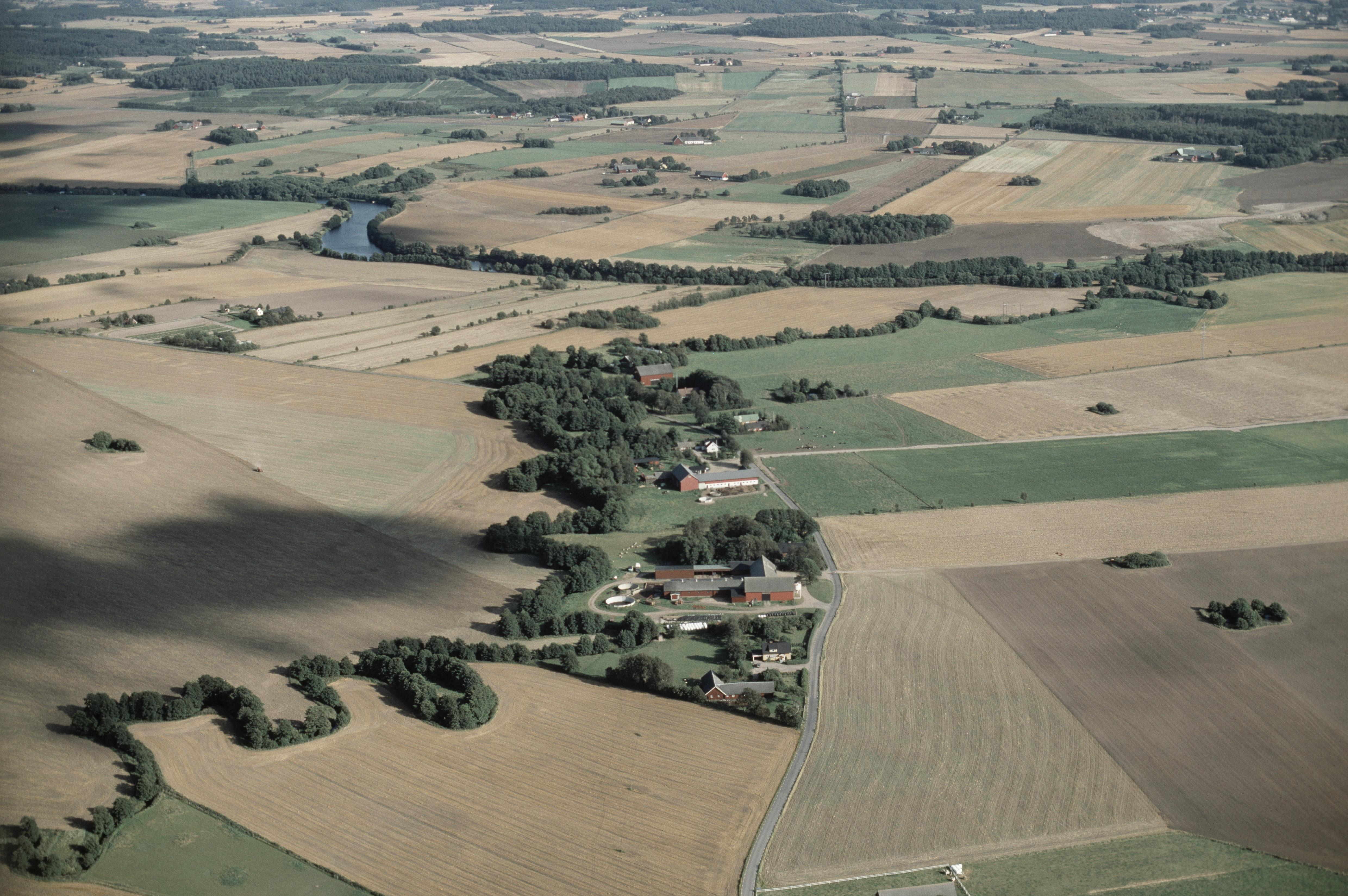 Jan Norrman, Faurås