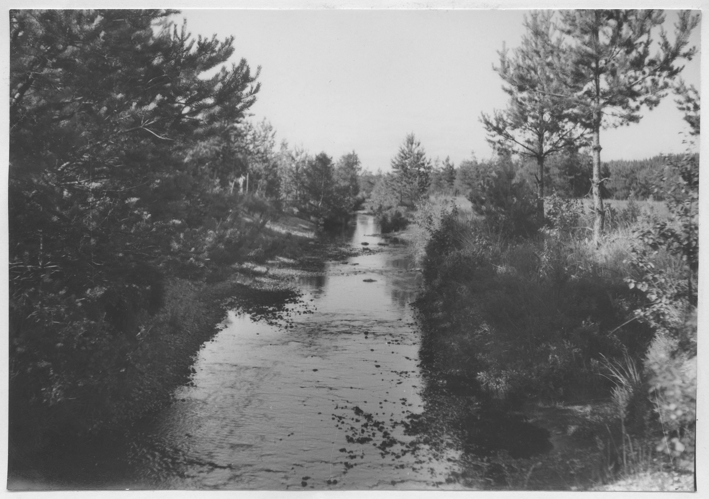 Mårten Sjöbeck, Nordsäter, ängar