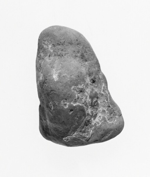 Unknown, Female Head