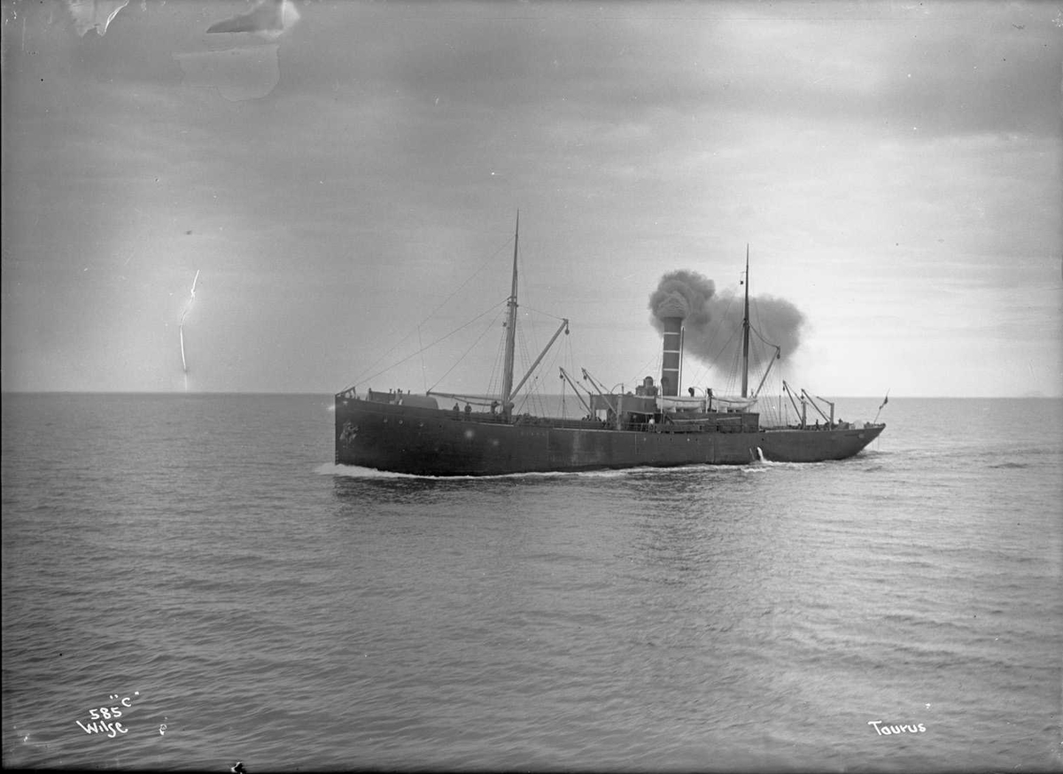 Anders Beer Wilse, Taurus (b. 1902, Campbeltown Shipbuilding Company, Campbeltown)