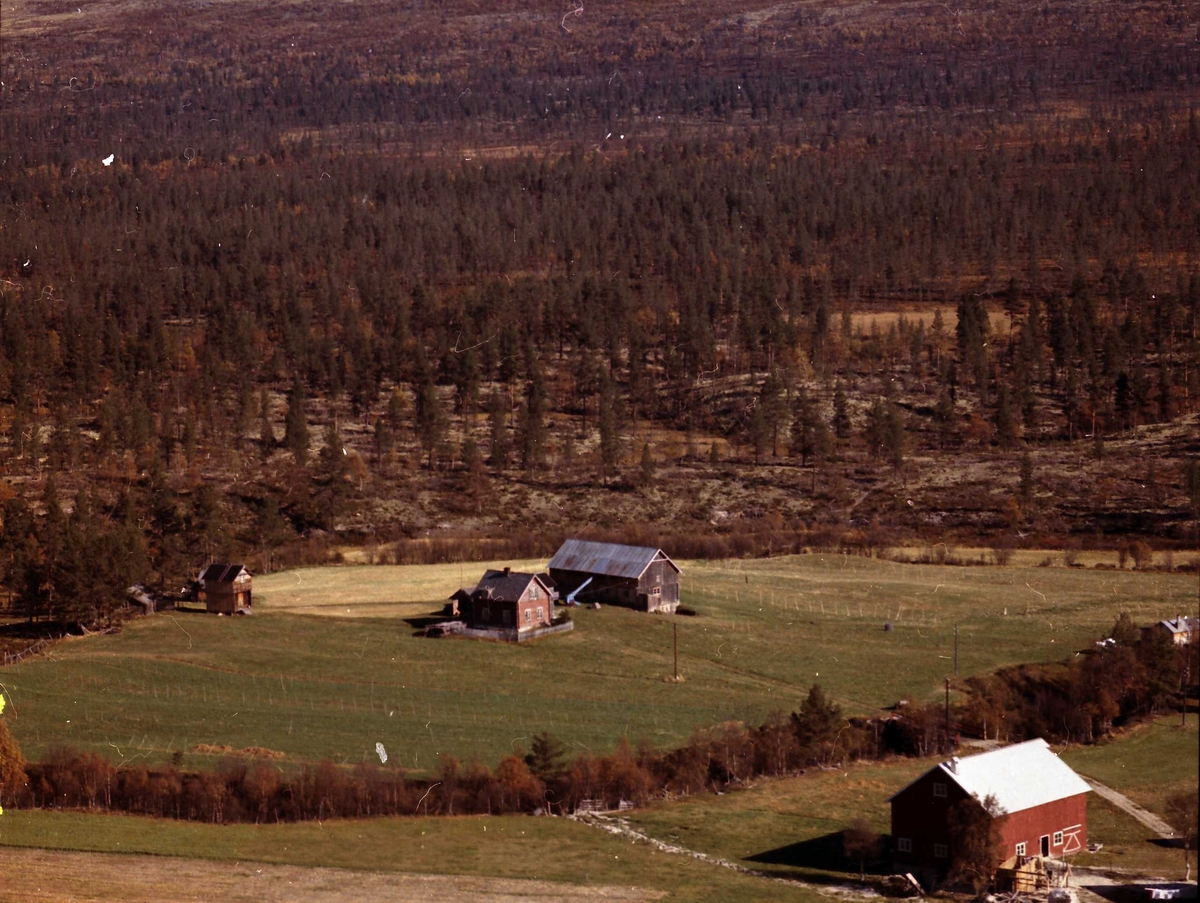 Widerøes Flyveselskap A/S, Gårdsbruk.