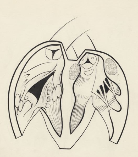 J Tinkelenberg, Schematic representation of an organ
