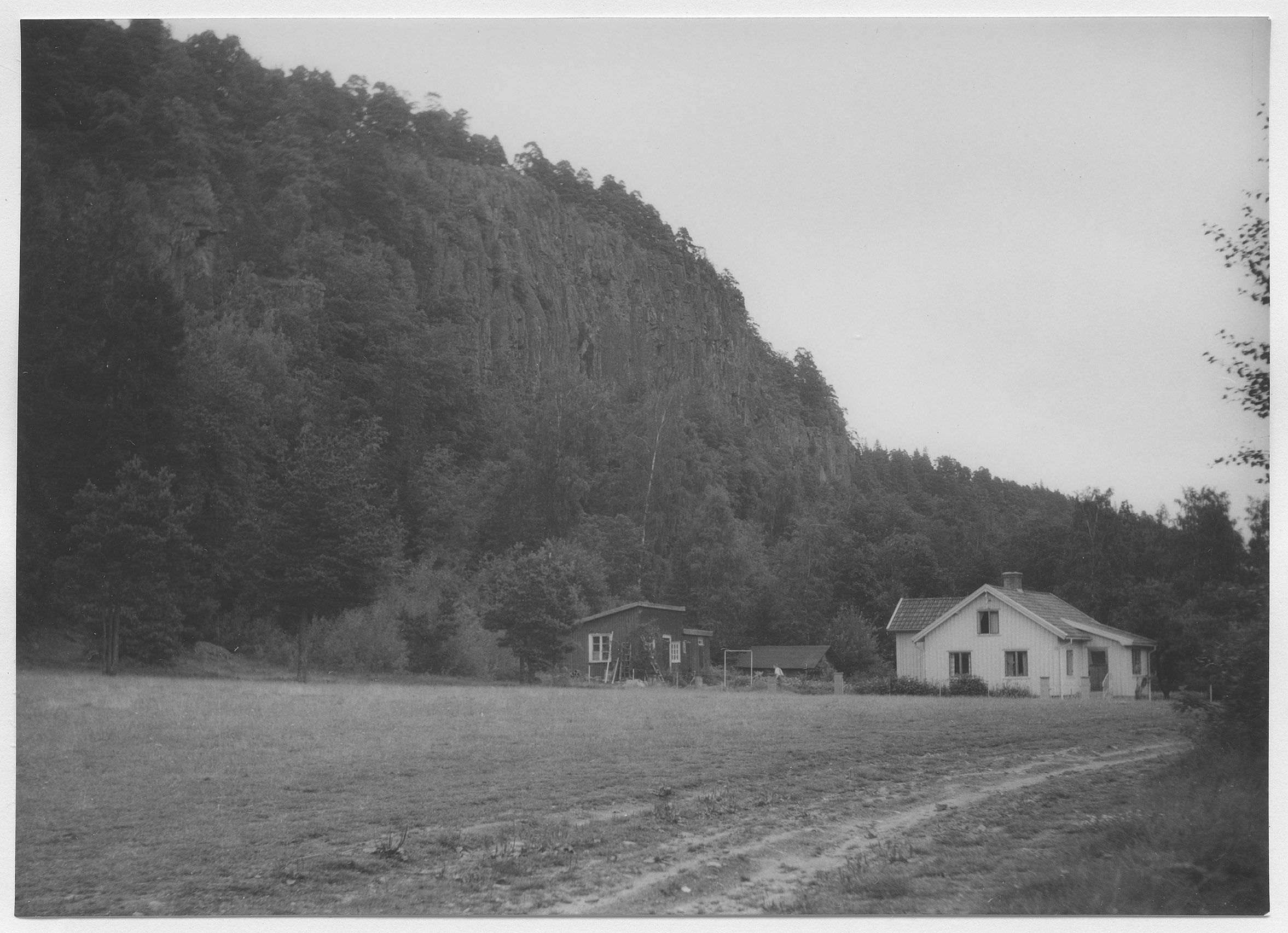 Mårten Sjöbeck, Hästevadet