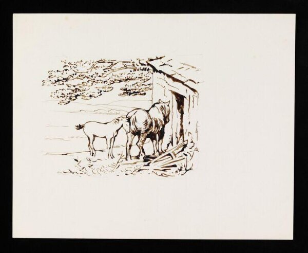 Potter, Beatrix, drawing