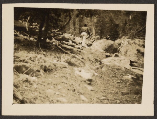 Louis Fleckenstein, [Landscape]