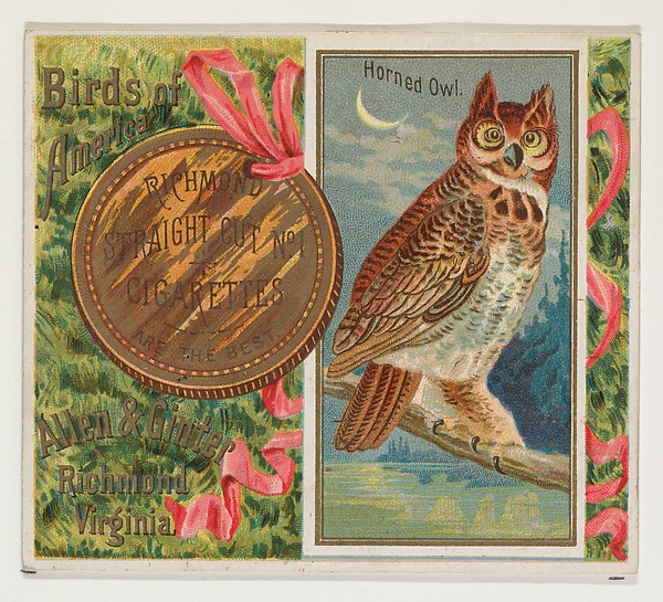 Allen & Ginter, Horned Owl, from the Birds of America series (N37) for Allen & Ginter Cigarettes