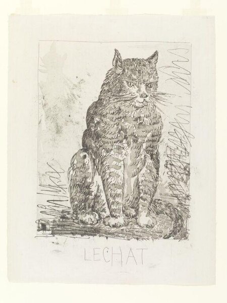 Pablo Picasso, Histoire Naturelle