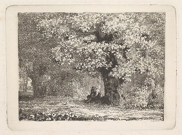 Johann Christoph Erhard, A Man Sitting under a Tree in Bloom