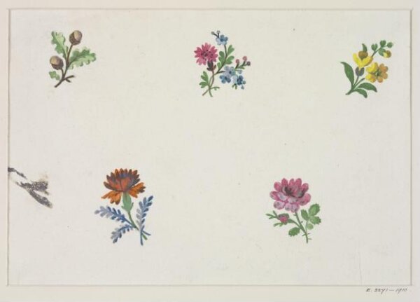 Unknown, Drawing