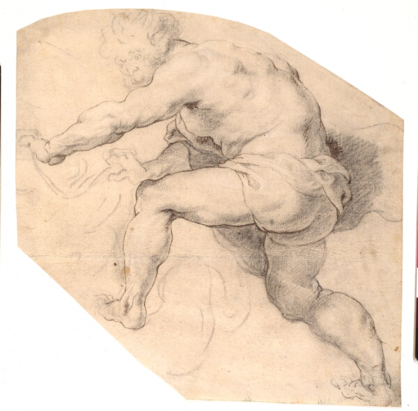 Peter Paul Rubens, Studie fra "Samson og løven"