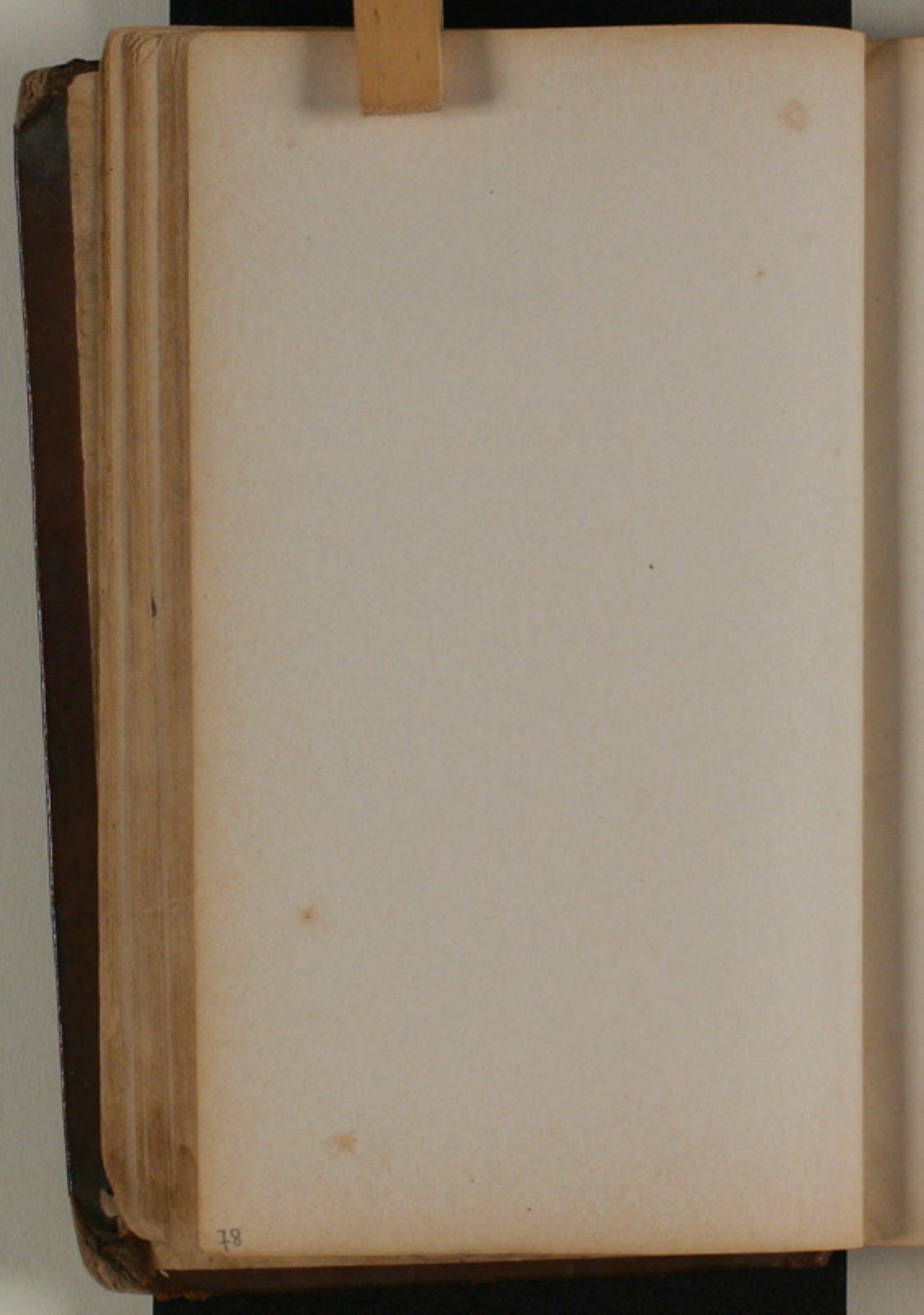 Niels Larsen Stevns, Blank
