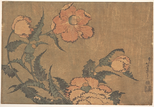 Katsushika Hokusai, Poppies in the Wind