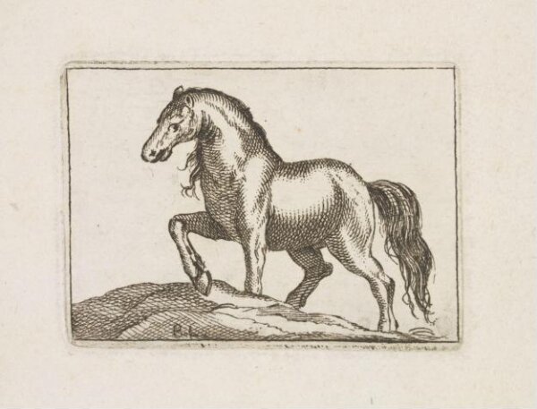 Unknown, Print