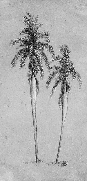 Elihu Vedder, Two Palm Trees
