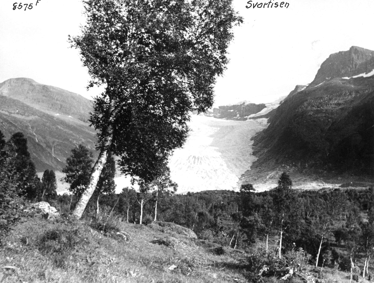 Anders Beer Wilse, Topografi