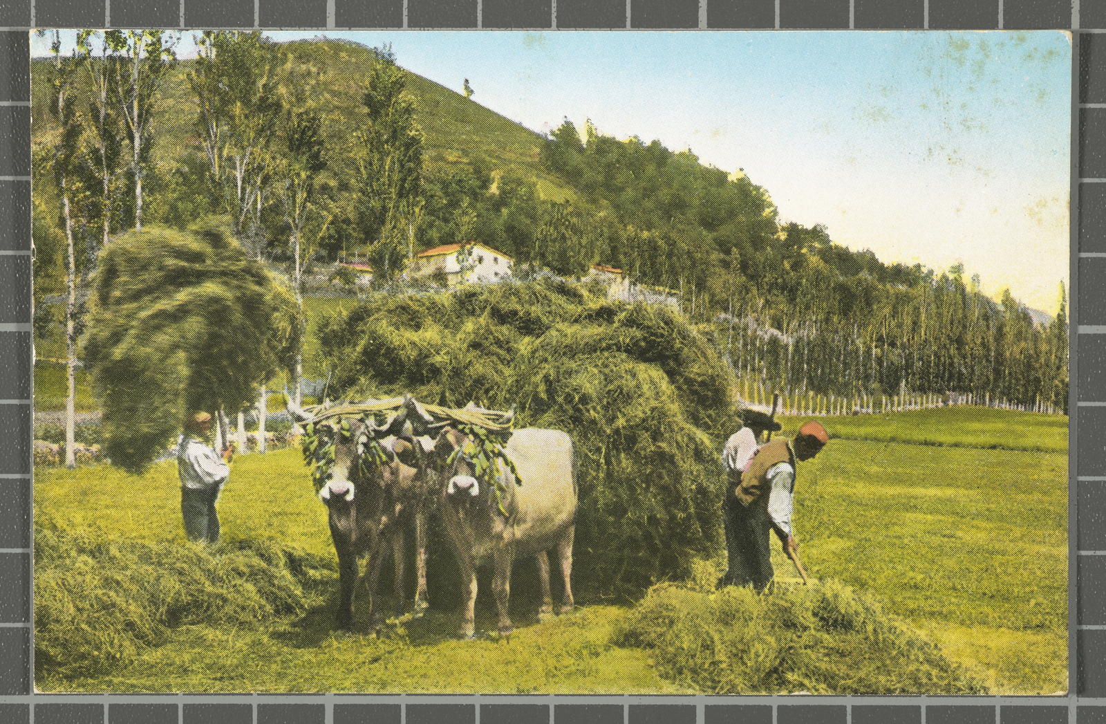Desconegut, Camprodón. Carregant herba