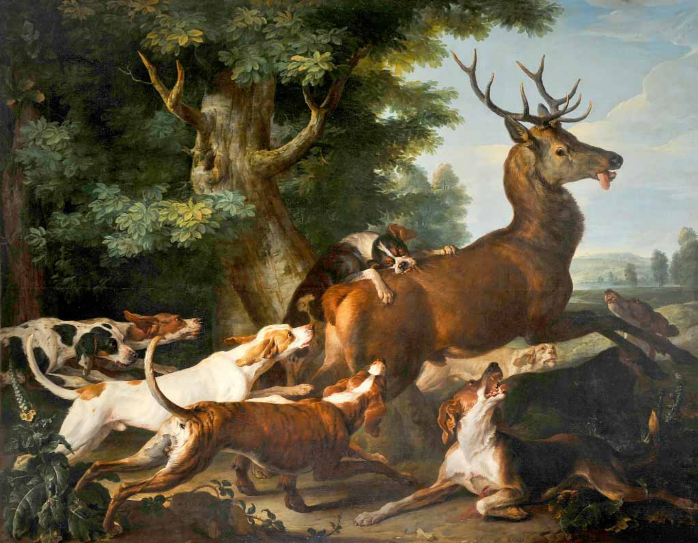 Alexandre-François Desportes, La Chasse au cerf