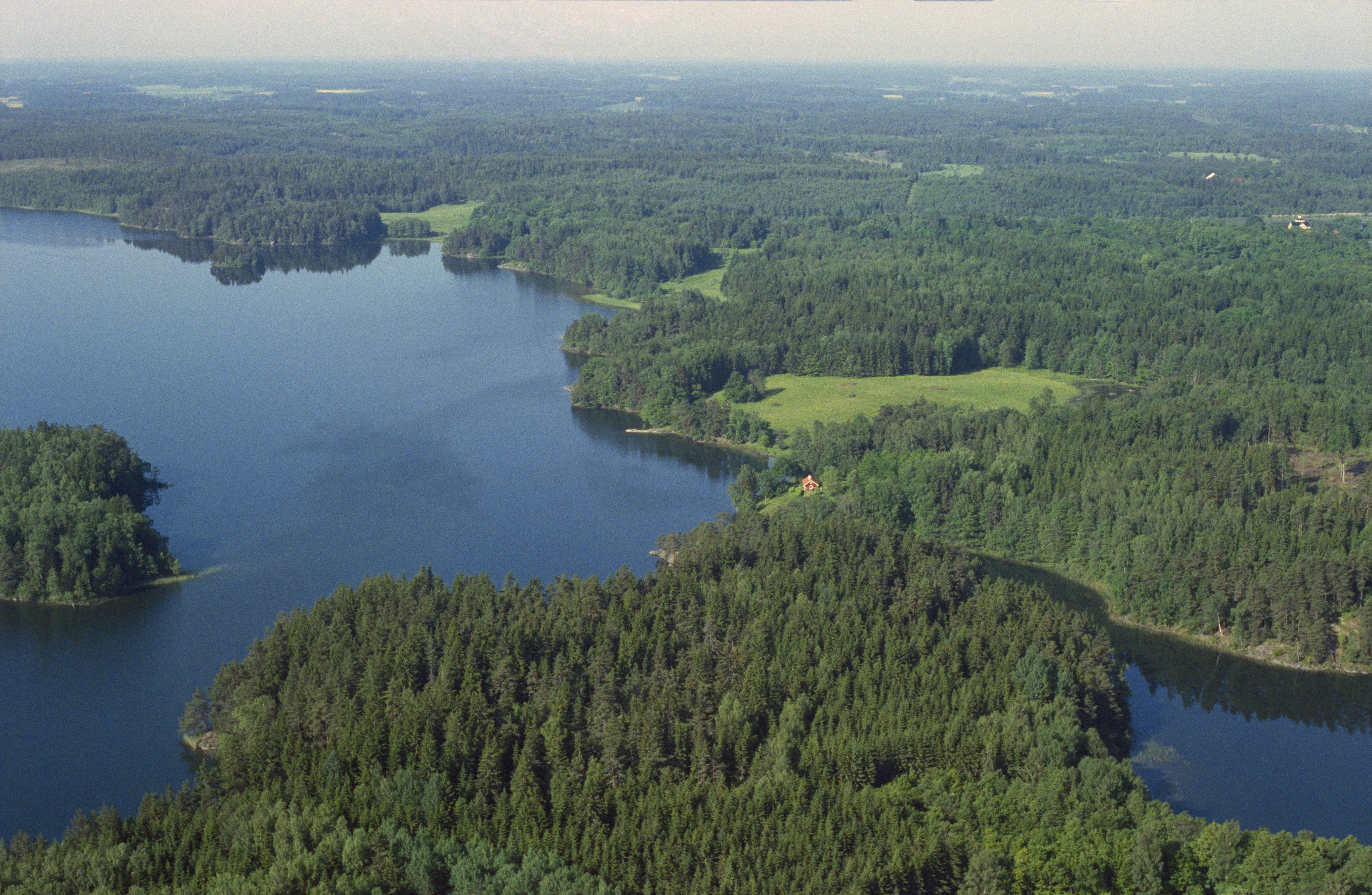 Jan Norrman, Ludgo 28:1