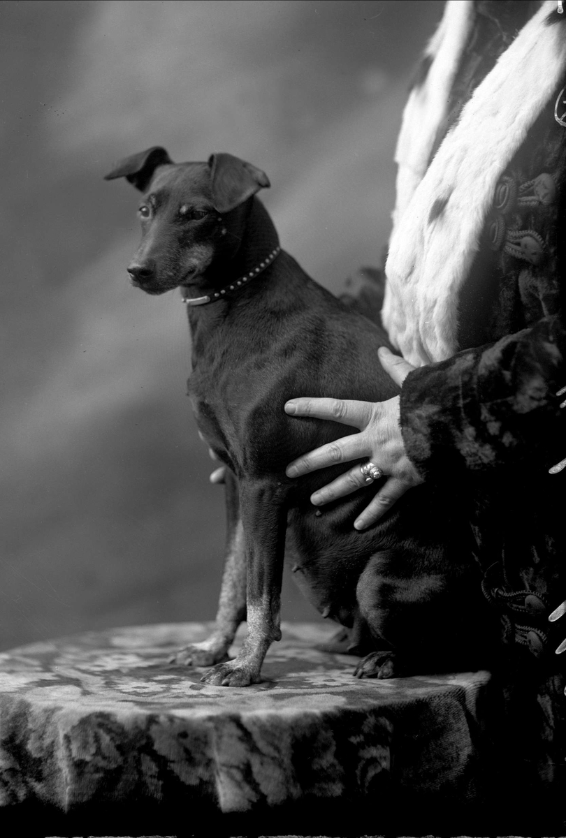 Gustav Borgen, Portrett, hund, med dame i pels.