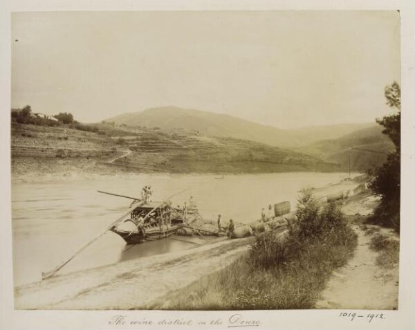 Unknown, Photograph