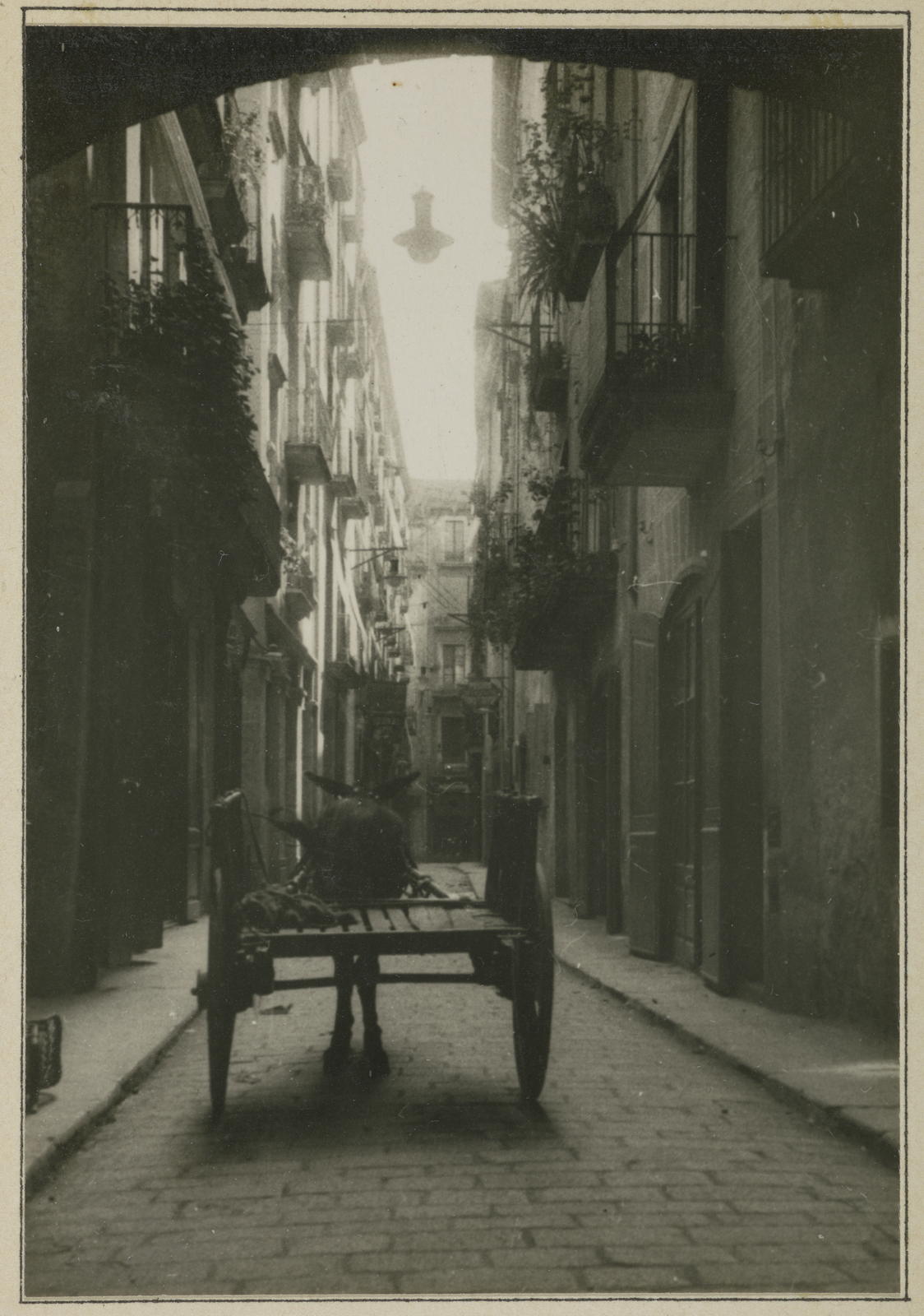 Desconegut, Una calle
