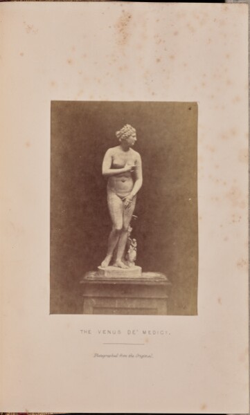 Edward Falkener, The Venus de' Medici