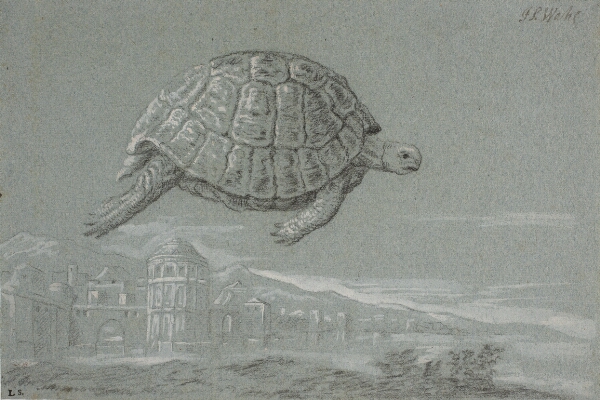 Johann Salomon Wahl, Studie af en skildpadde, og prospekt af en befæstet by ved havet (Venedig)